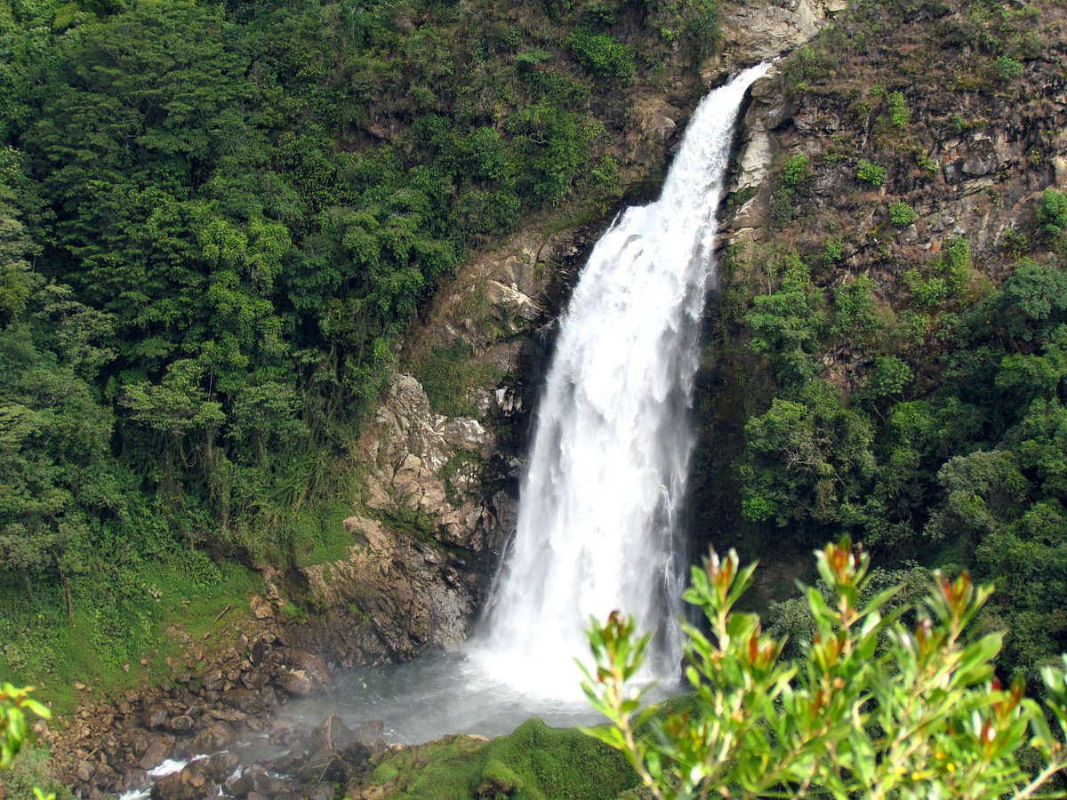 Salto Del Buey